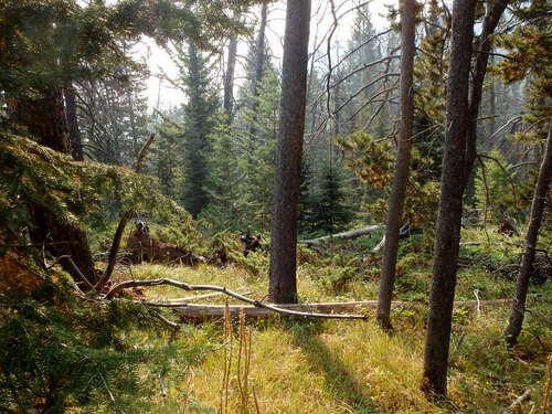 GDMBR: This is the view at the top of the trail, closed unbeknownst to us.